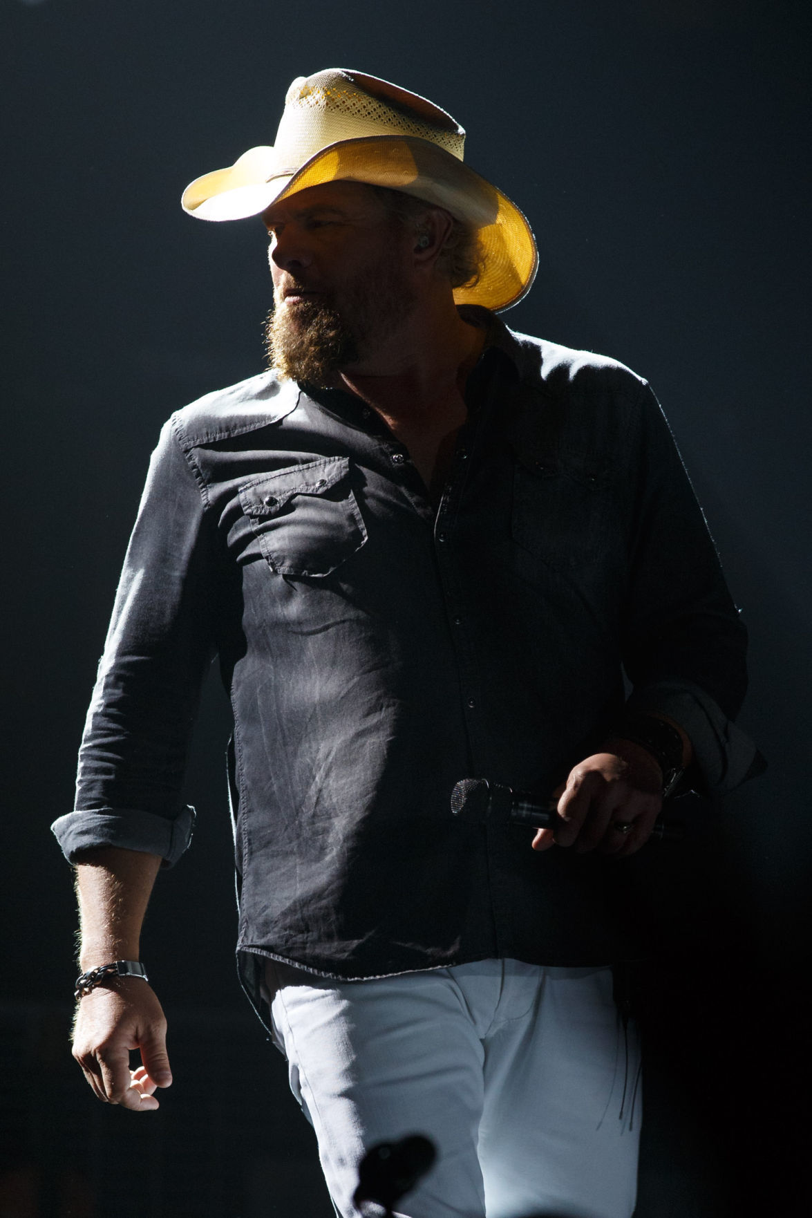 Toby Keith 2016 concert